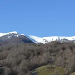 Pinguino Hotel