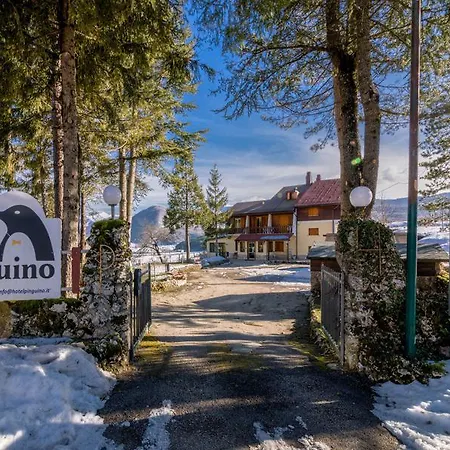 Hotel Pinguino