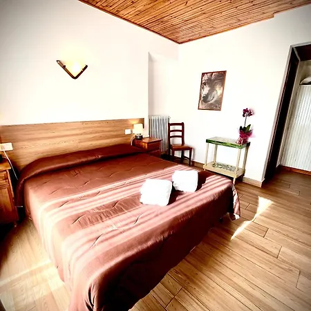 Pinguino Pescasseroli