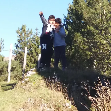 Pinguino 3* Pescasseroli