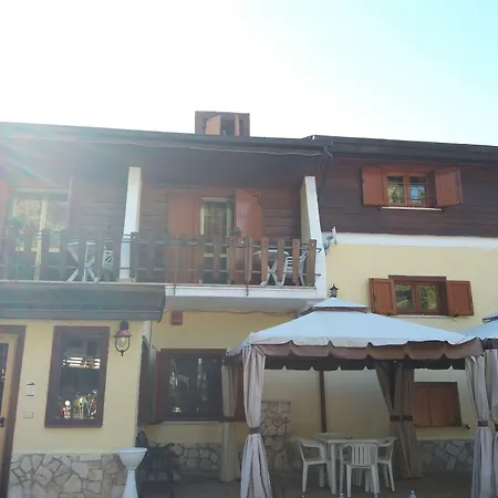 Pinguino Pescasseroli