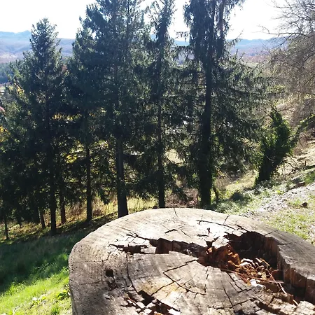 Szálloda Pinguino 3*