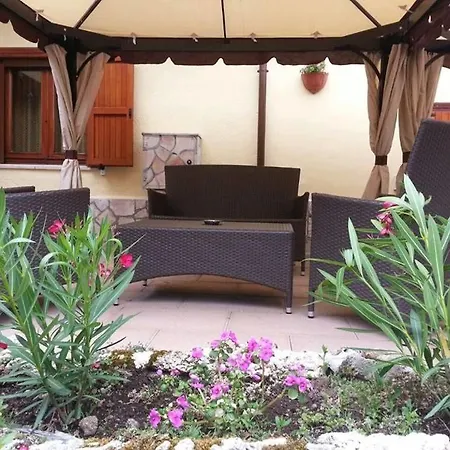 Pinguino Pescasseroli