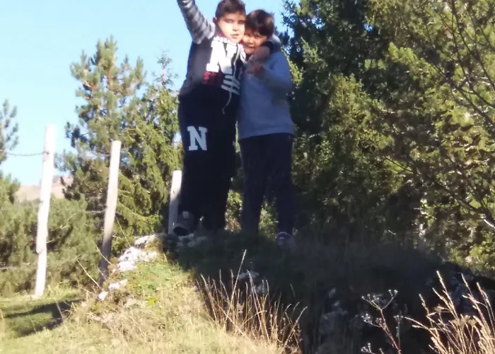 Pinguino 3* Pescasseroli