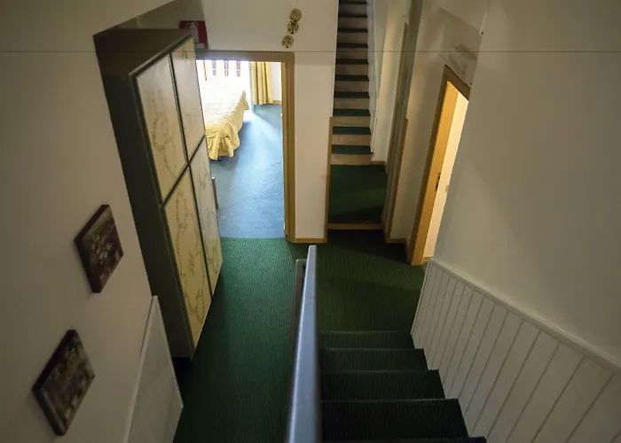 Pinguino 3* Pescasseroli